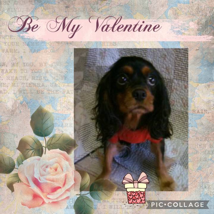 003c9d7c 8ecb 4696 958f 05053168a00b 1613270430443