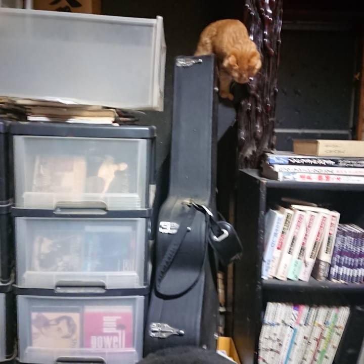 003cd85d 3e6b 4e96 856e 9999e0eda20d 1644788844626