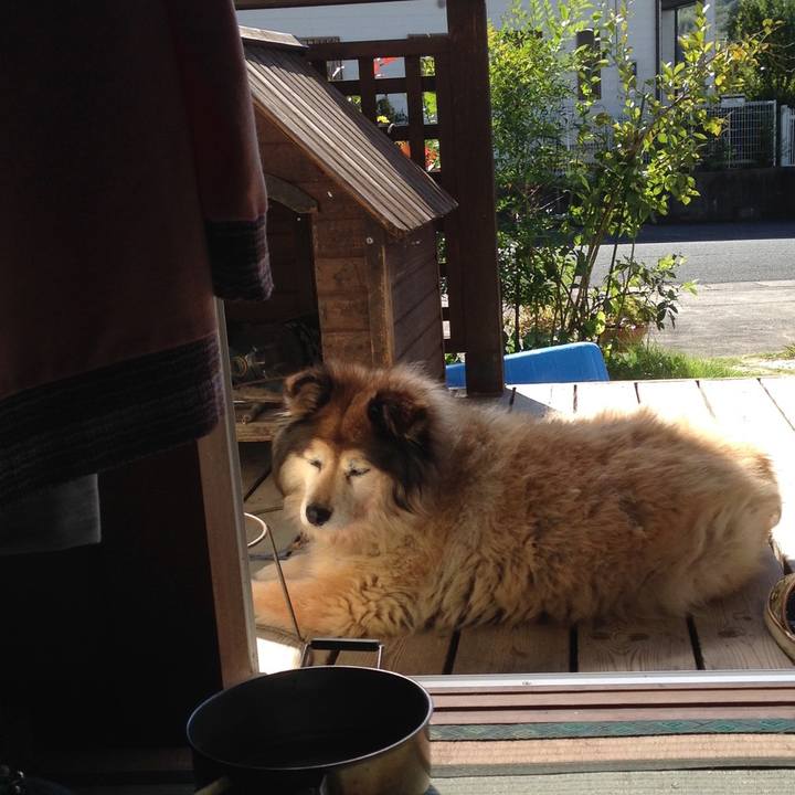 003ce6ef 74c6 4077 a074 4f2646a7ee61 1593315692338