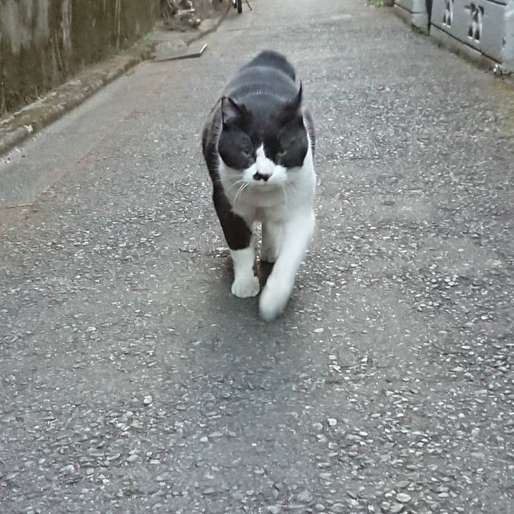 003cecf5 f33f 4b25 a972 58cfc96d63ab 1643016645501