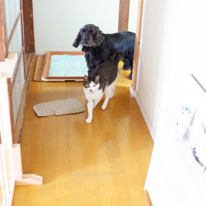 003cee90 97f5 4d02 94e6 6785e1911a78 1549539607259