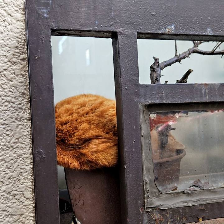 003cfe18 7e75 4a08 b860 0617d4e47a3b 1709598143349