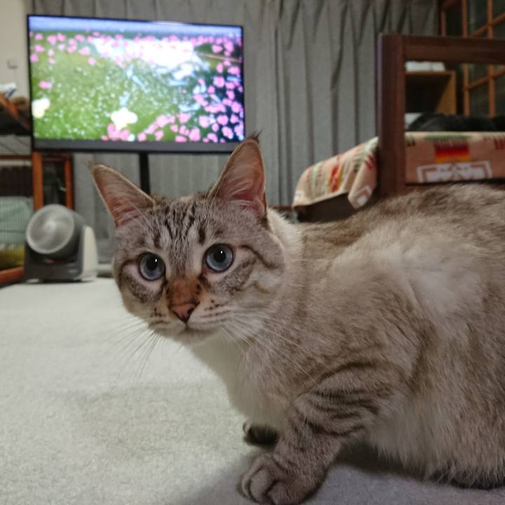 003d1dfd 5442 41eb bfd6 99b18e710f0a 1598358642303