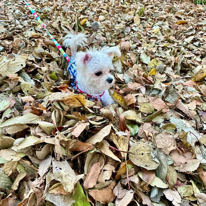 003d33dd 5911 496b 91bc faf43def6907 1638924952475