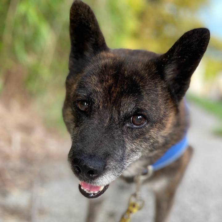 003d51c5 e079 49d9 a361 c6e631008cf6 1599470012252