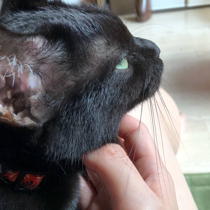 003d5a83 4468 43e1 b5e3 e3266bc9688f 1537138226255