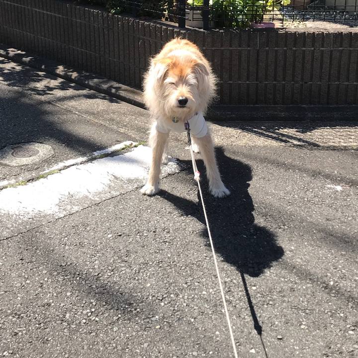 003d6718 9489 4b37 99f0 07c0b6ba4aa2 1585106391857