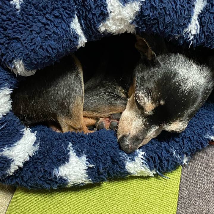 003dd960 a715 4221 ac74 b9889cfbd614 1588121610922