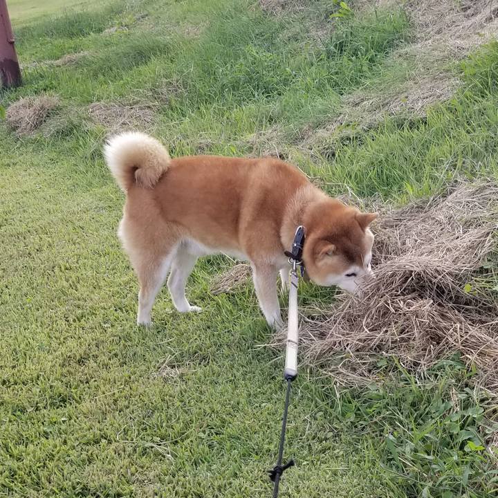 003e082c d775 4c93 b40e 1b2c3410f164 1633331396016