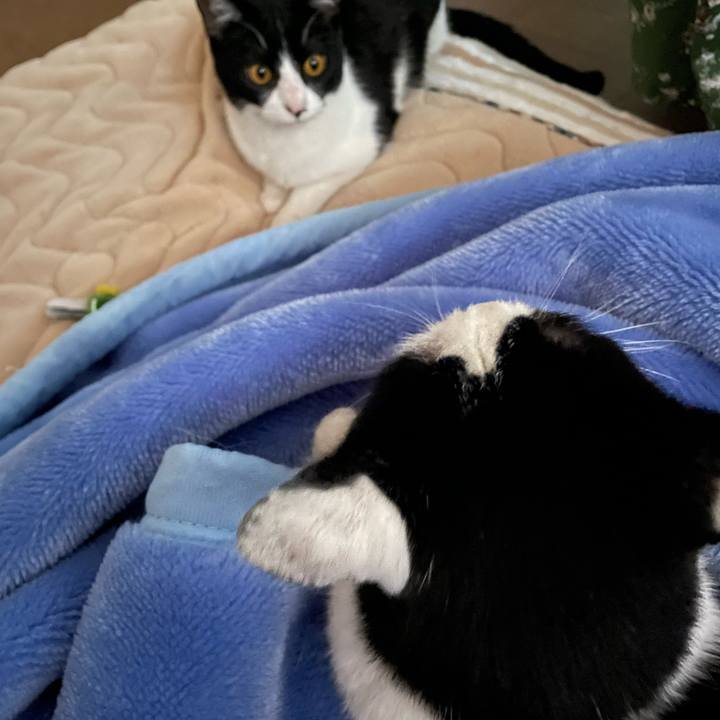 003e1d0f b81e 4f13 80fc 046a8e28e66d 1680576728048