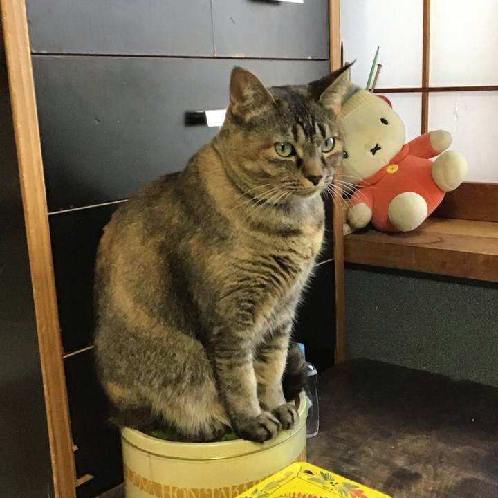 003e34c9 529f 443b af7b c02afd378760 1708422715478