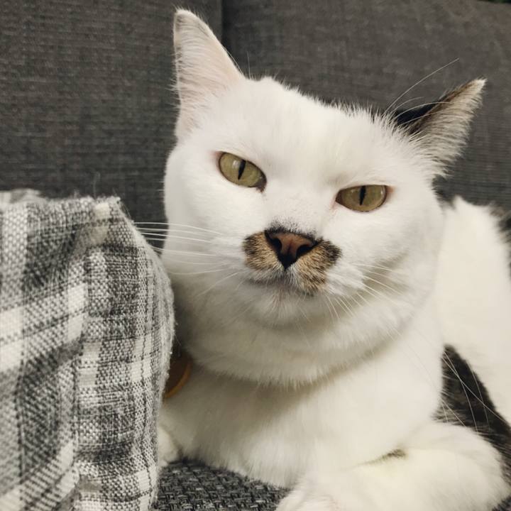 003e3f3f cd4b 47cd 96bc cdbc84dcc369 1536809674722