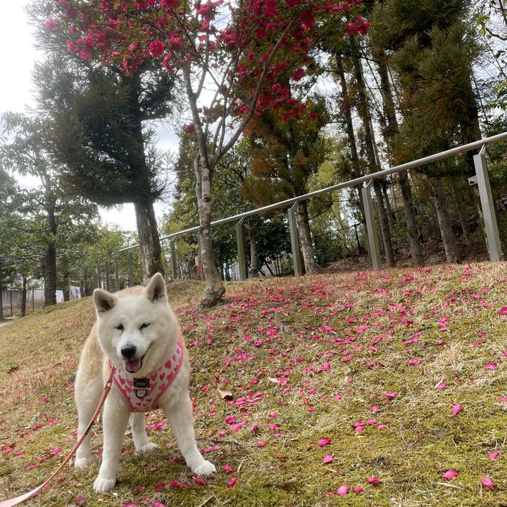 003ec214 4684 4770 b3c7 d80ef0cefed6 1708321923346