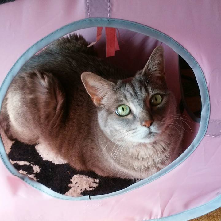 003f2f45 1578 42fd 84dc 35d903130db1 1555628641706