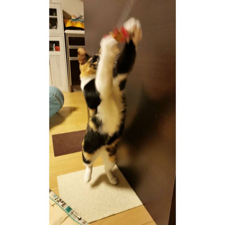 003f4e30 c992 4787 a32f ee6965228fa0 1669004979323