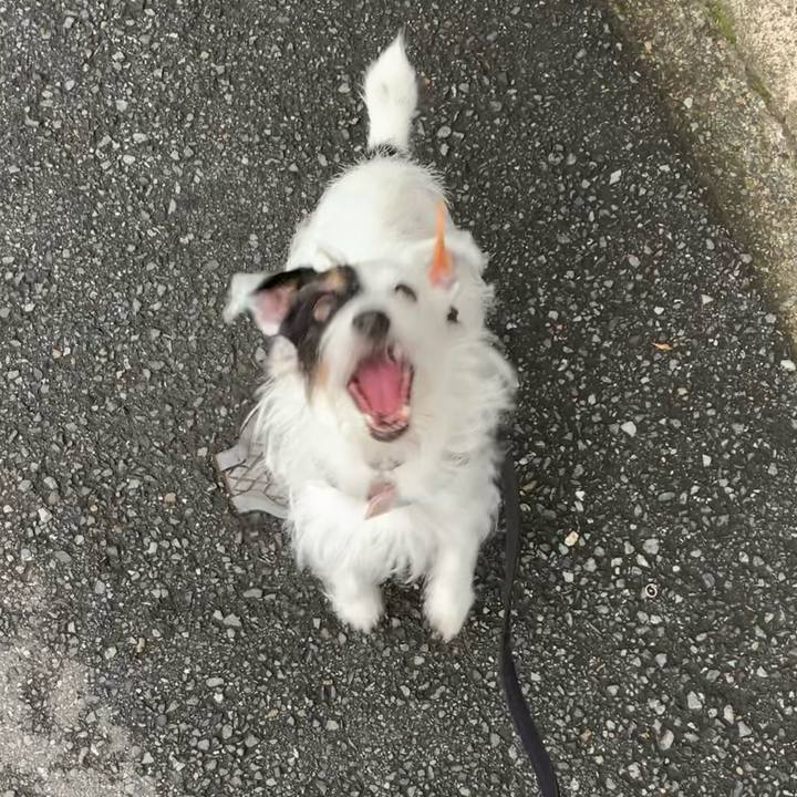 003f97b2 dd01 45cd 8e47 2c0c3a3b6b14 1660776665369