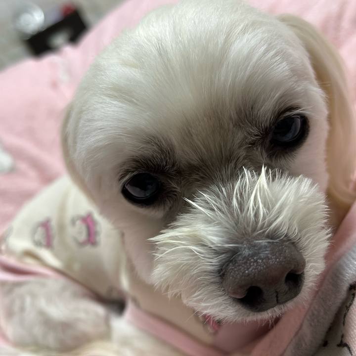 003fb14f 461b 4426 af65 41923561f366 1700048376109