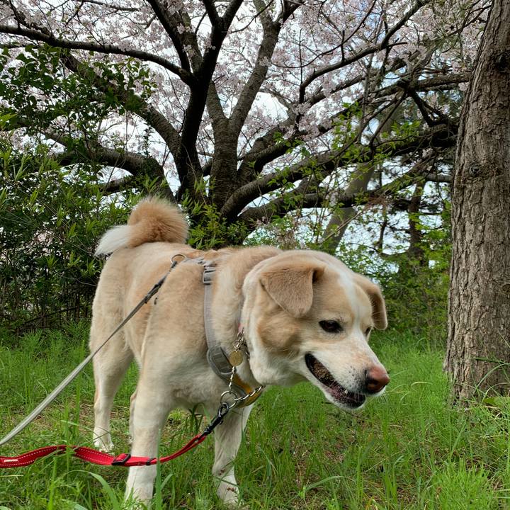 003fee1a ecf5 44ab 9180 9418de952670 1586575627935