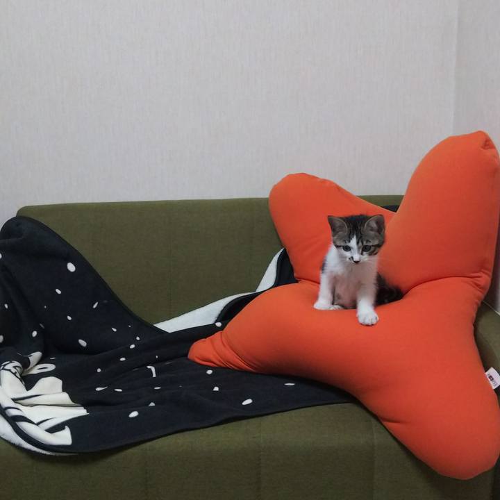 004009d9 c5c2 4126 b109 08d0ddbf989a 1606560171943