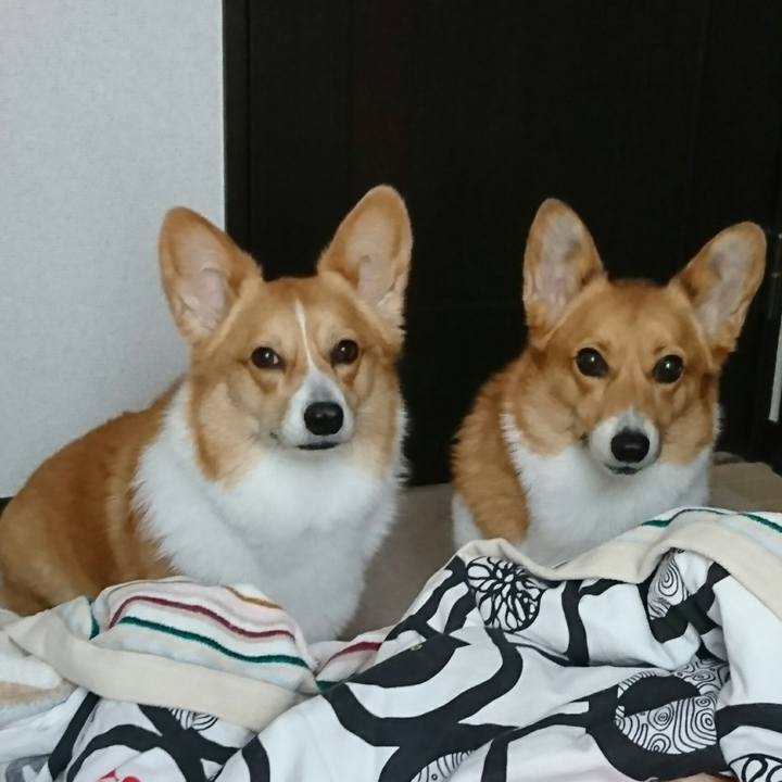 00400ca0 7988 43c3 81d6 e0e0b5795788 1524541241254