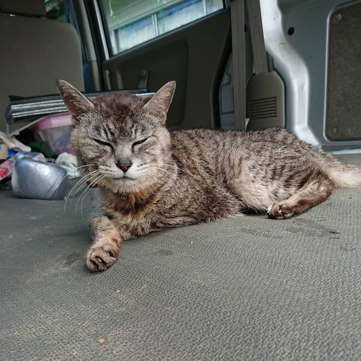 00401721 5e69 43ab ac94 83c682d664ad 1594522581915