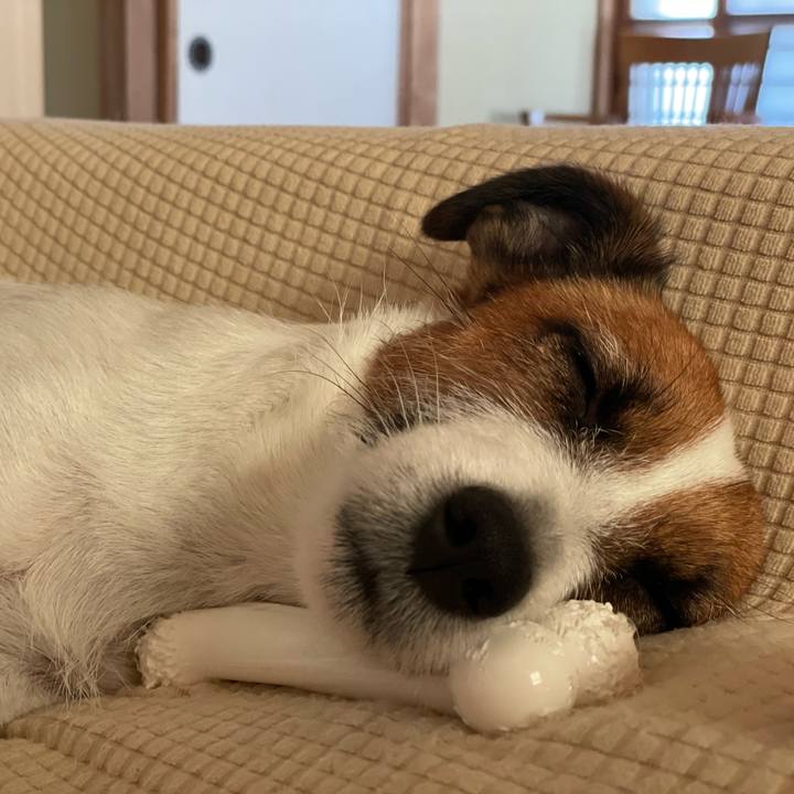 004019b9 97c2 44d7 b205 2de8d381e5f2 1662535898236