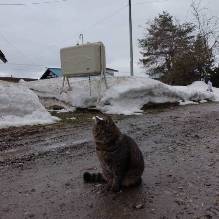 00403e30 1372 48c5 be32 15dad5ad3859 1673736189067