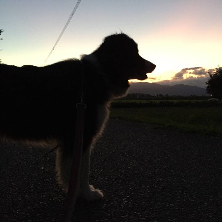 0040b425 3469 4ec1 ac19 5de25a0ab74f 1569318532285