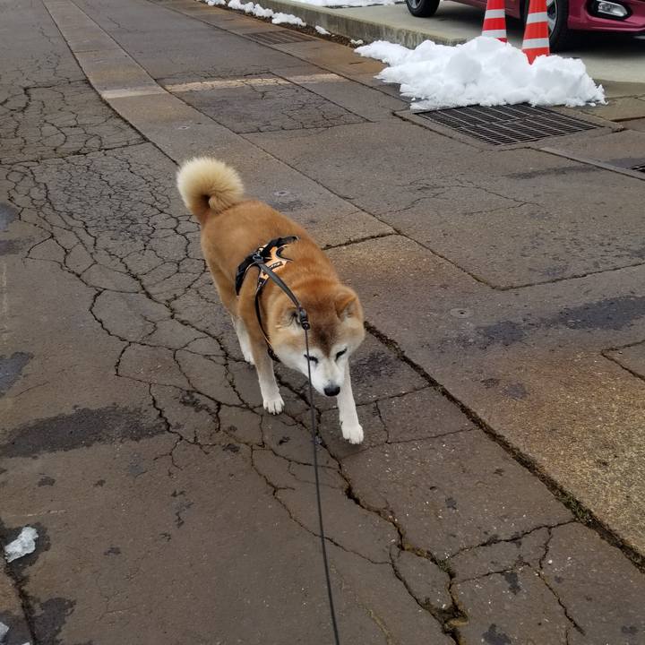 0040d55b 680a 4876 94f0 a221ae8017ce 1741058209871