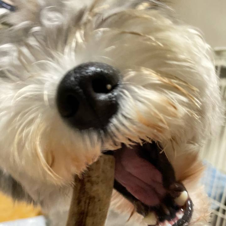 0040d643 48af 4b72 9e8b a464d94af7f0 1623516344593