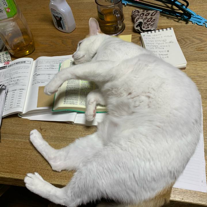 00410e11 c353 4872 a642 3bd9944b7df5 1585234740931