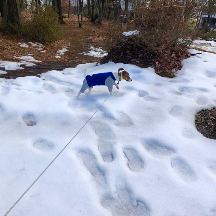 00411bb3 7cd4 4681 b60a 5164ed0172cb 1545477645231