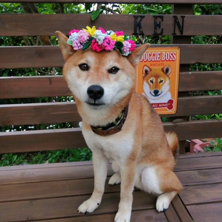 004150db 87ca 4f6a 93cd 6193fc9f5e58 1623057822357