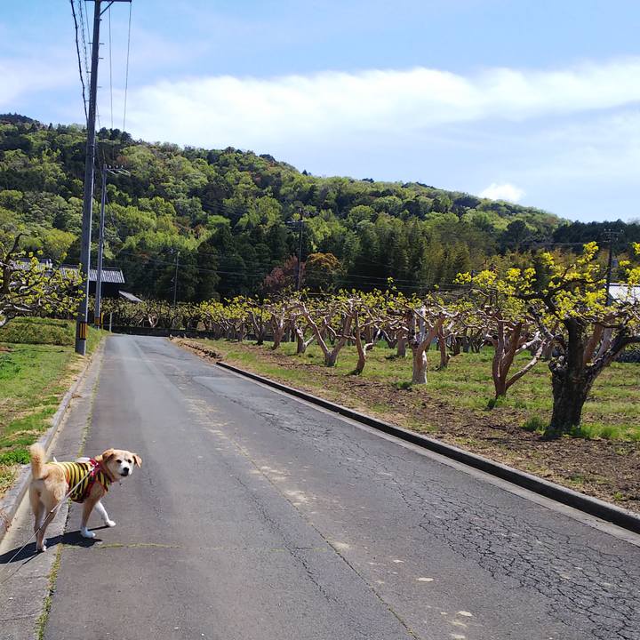 0041549f 46cb 4b90 8fc6 d0d17e2411b1 1555388166820