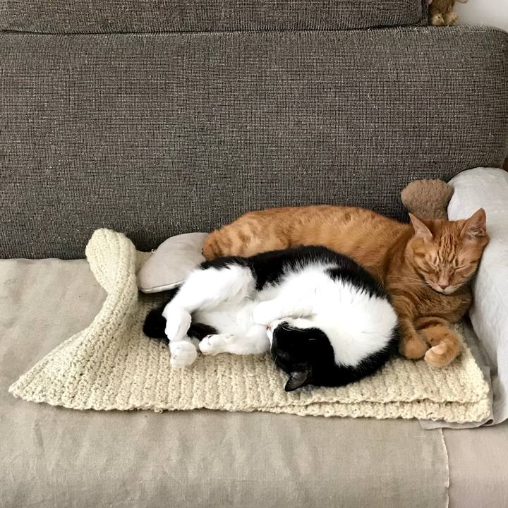 00418396 e355 49d0 be27 0f4e4006cc21 1528001135784