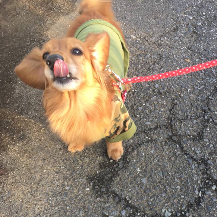 0041919b 3005 4aae a86c 39bffafa9c56 1523183263054