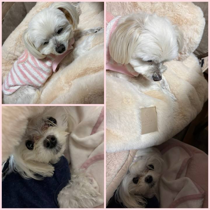 0041dbbf 3984 4cc1 87db c43d3008a3f3 1741689875219