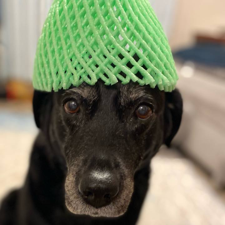 0041ff3e 4c3d 48ef 872d 4f9240fc7f07 1621516155066