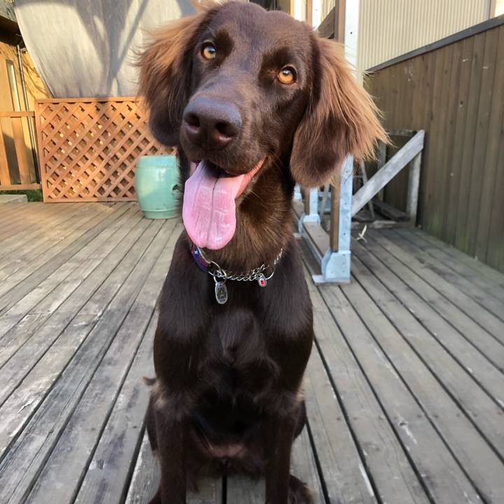 00422db6 2eae 403a 9e8c db7be69b9bae 1569914389417