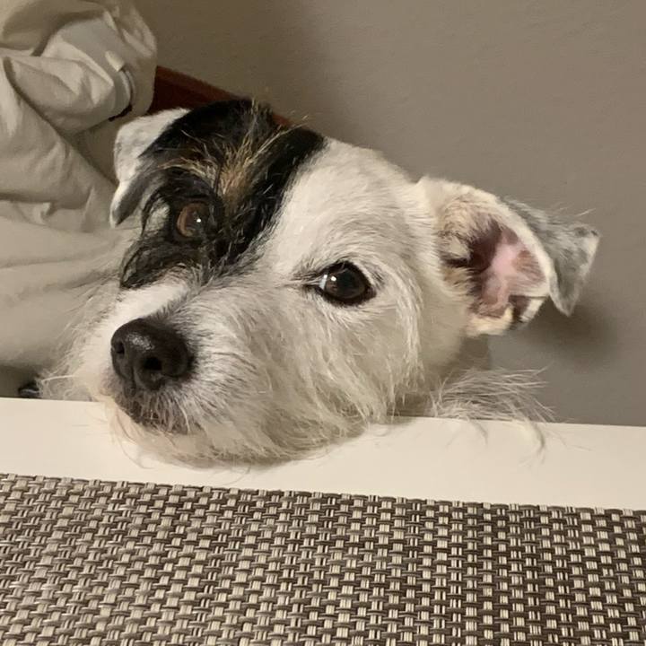 00424a12 632f 4351 9d4f 45c71bc80dca 1674294816208