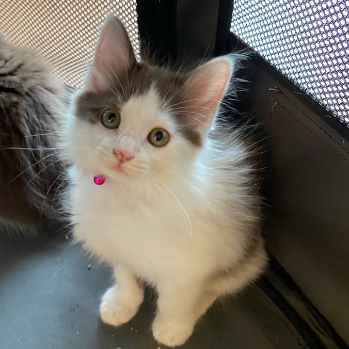 00426dfc e477 4ef1 b602 9e48b0924101 1686642700742