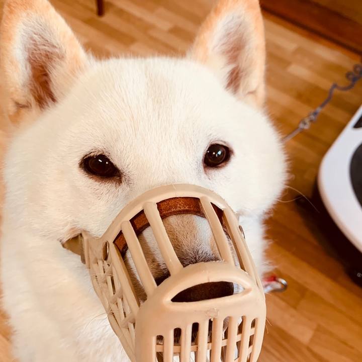 00427fd7 d792 4a7e 819d b24382e40e1f 1560118607017