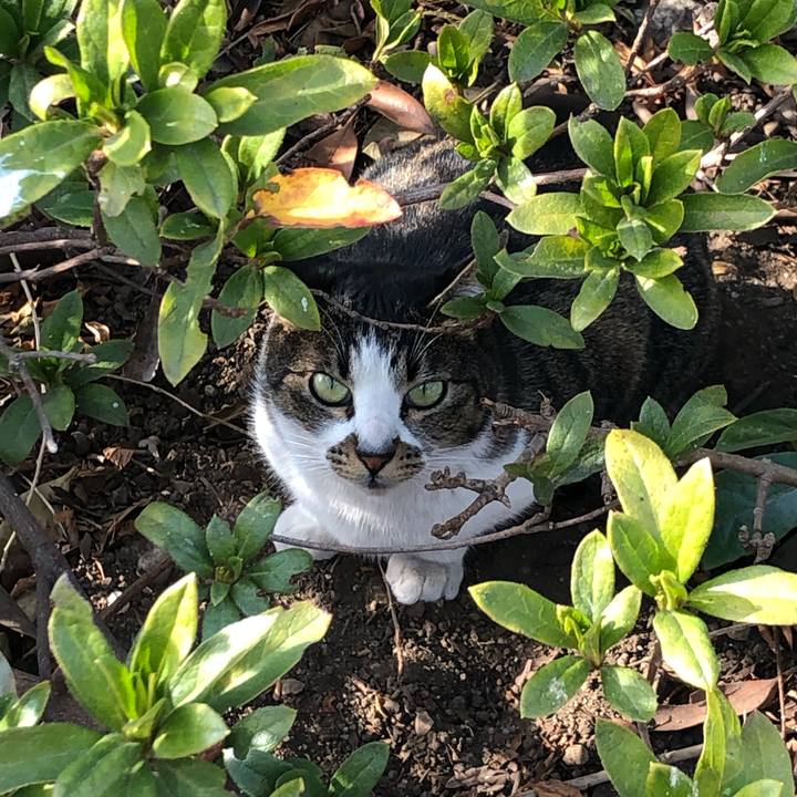 00428385 fa71 4780 9165 f1d75e1b0943 1551088488030