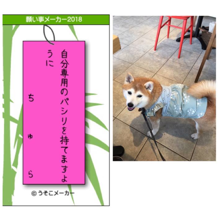 0042857c ba02 4680 bfa2 b2ecc2fff9d1 1530972345062