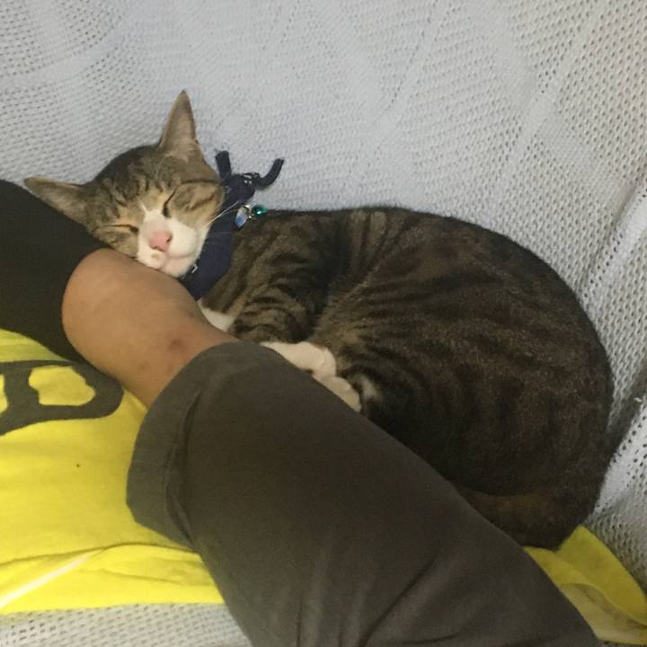 0042dbe5 d7b9 437e b53e e8b208792ec6 1683391249392