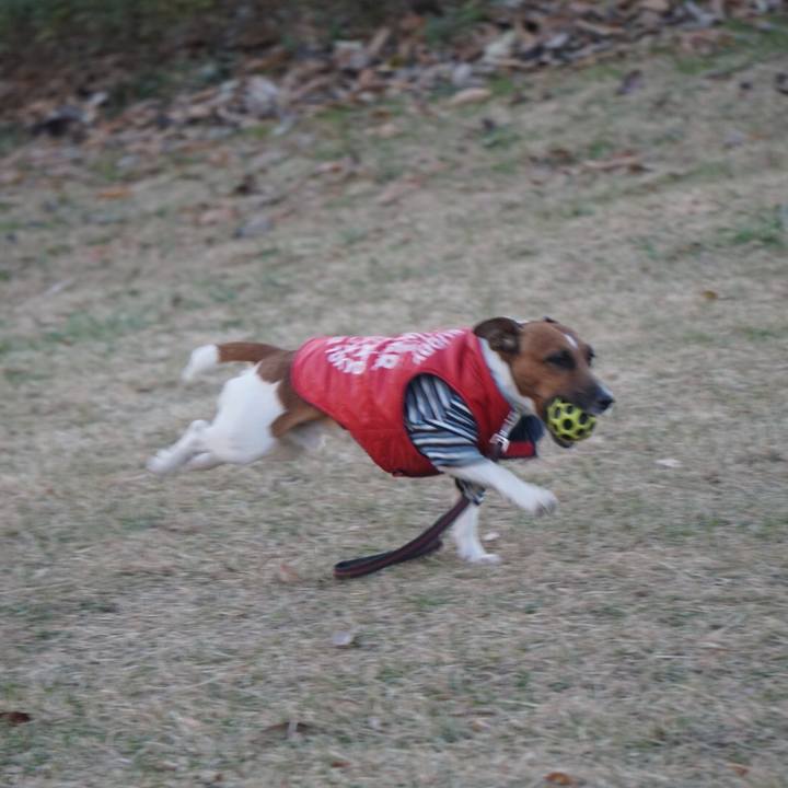 0042ed45 ed6c 44fa b999 4d5123b411cd 1513033538186