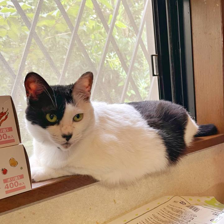 0042faea cc32 43b4 bde8 954e9ccf9b3f 1754434339019