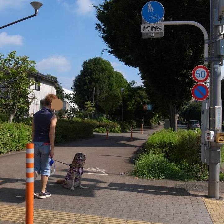 00430d84 e7d7 4714 ae59 610770f717e5 1610843080168