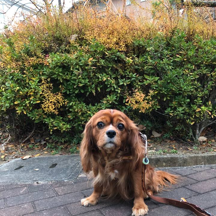 004325c1 3eb6 46af bb93 91aa69361b9f 1607761156208