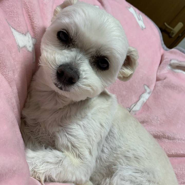 004363ba 95f6 4d8d 8807 8d26f3d61afd 1613133033499